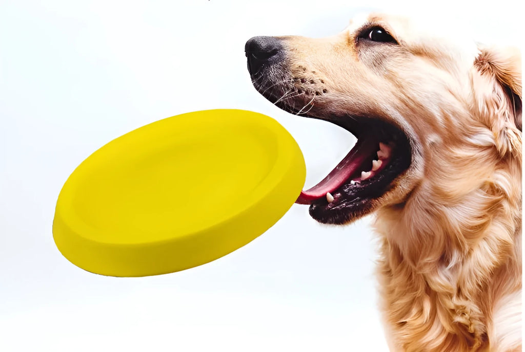 Yellow EVA plastic pet throwing toy for dogs weighing 70g