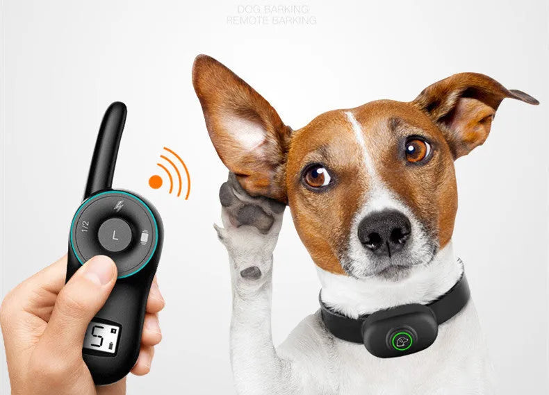 Black remote-controlled dog training collar with receiver unit and handheld transmitter on a table.