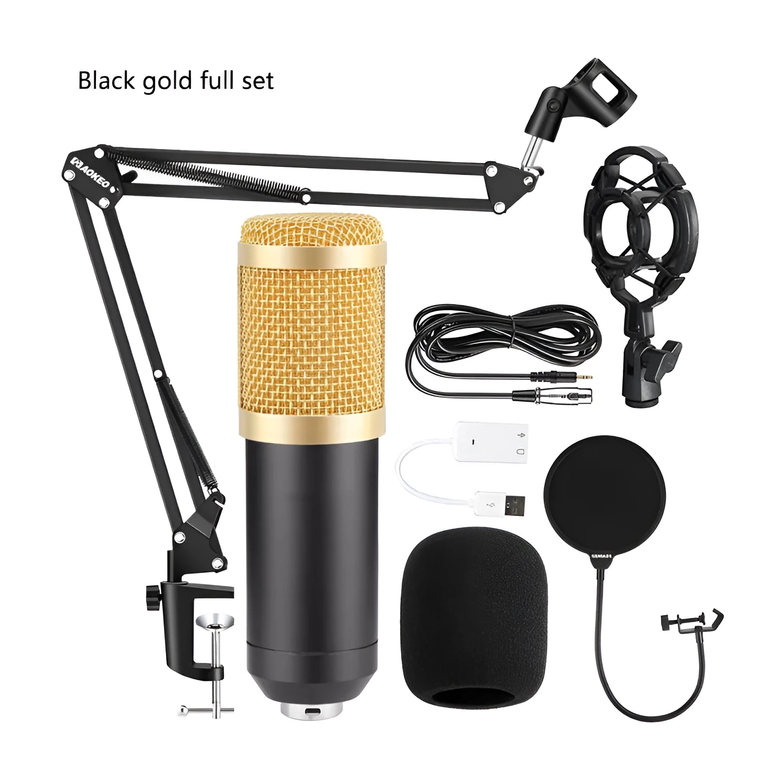 BM800 large diaphragm condenser microphone kit on cantilever bracket with shock frame and pop filter.