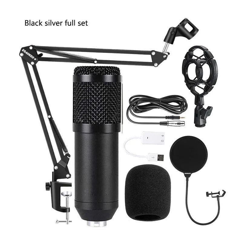 BM800 large diaphragm condenser microphone kit on cantilever bracket with shock frame and pop filter.