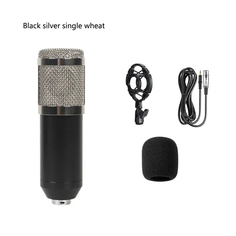 BM800 large diaphragm condenser microphone kit on cantilever bracket with shock frame and pop filter.