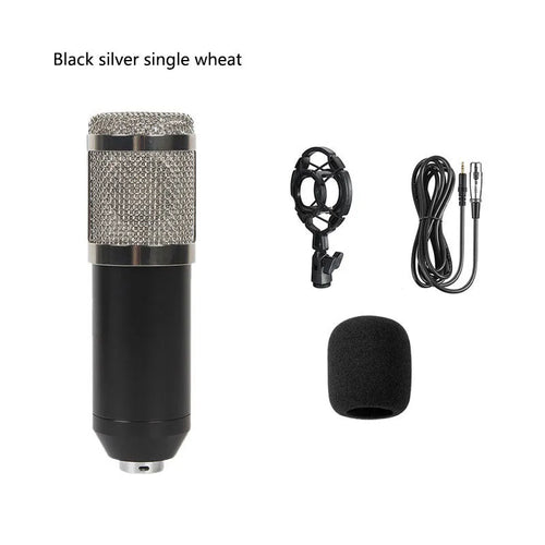BM800 large diaphragm condenser microphone kit on cantilever bracket with shock frame and pop filter.