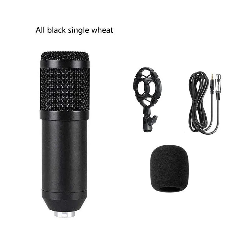 BM800 large diaphragm condenser microphone kit on cantilever bracket with shock frame and pop filter.