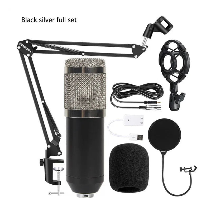 BM800 large diaphragm condenser microphone kit on cantilever bracket with shock frame and pop filter.