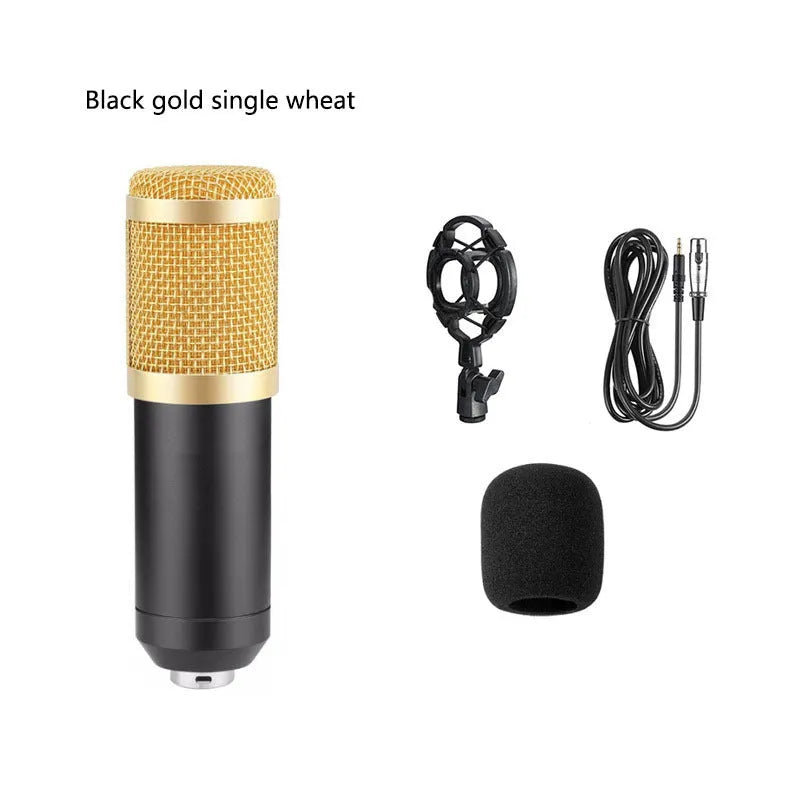 BM800 large diaphragm condenser microphone kit on cantilever bracket with shock frame and pop filter.