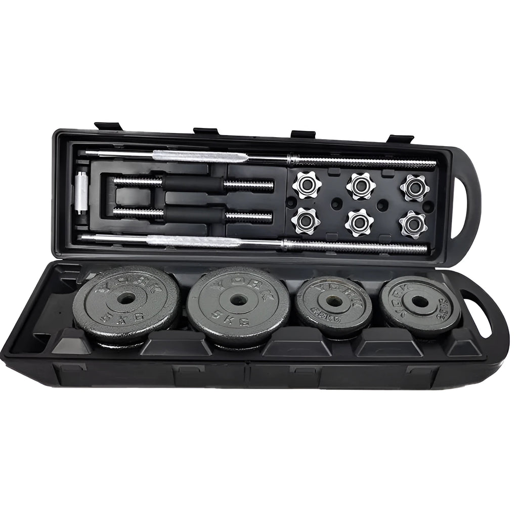 Paint coated iron dumbbell set with 20cm diameter for home fitness training