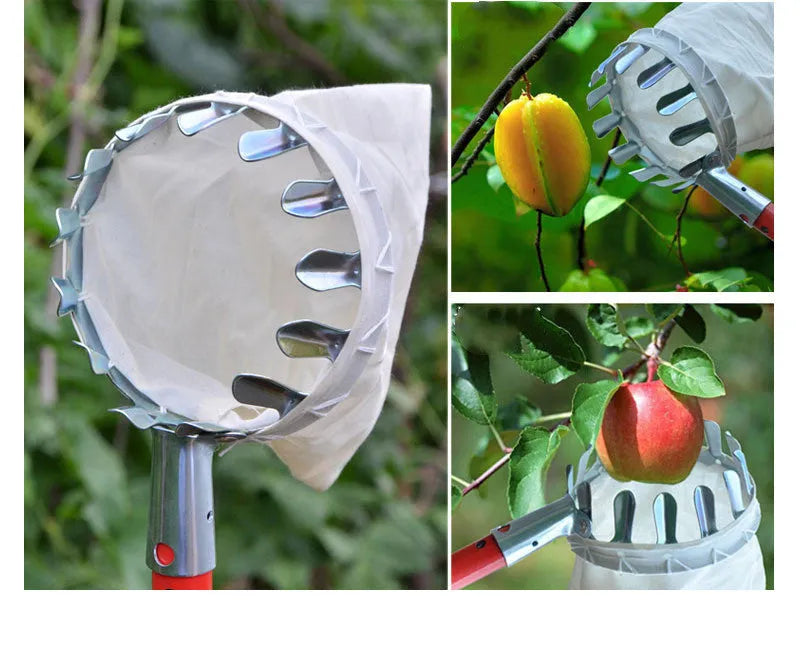 Steel fruit picker with attached cloth bag catcher for garden harvesting
