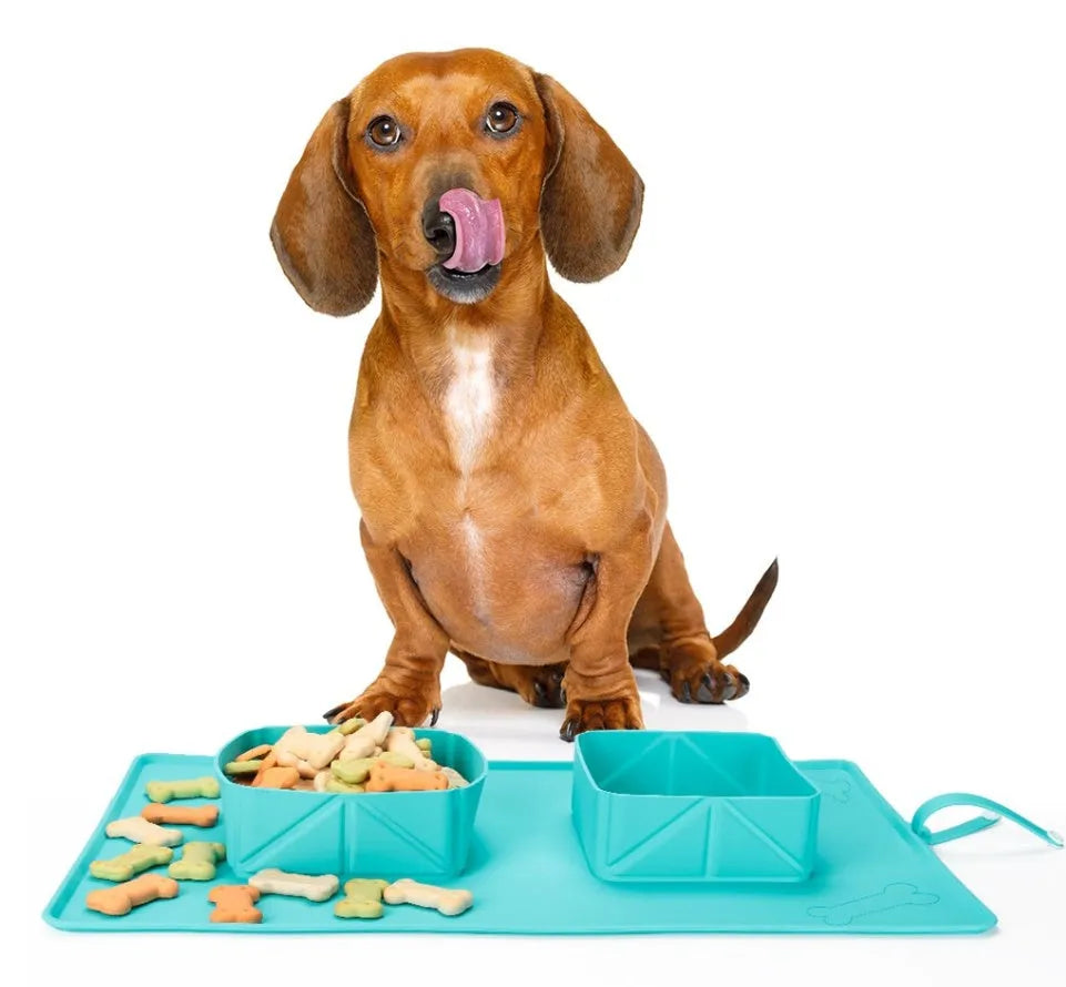 Double Foldable Silicone Dog Bowl for Medium to Large Dogs and Cats with 600ml Capacity Eco-Friendly Pet Bowl in Green or Grey 39 x 23.5 x 5 cm Portable Travel Bowl for Water and Food Easy Storage Jumps and Folds Flat Compact Design