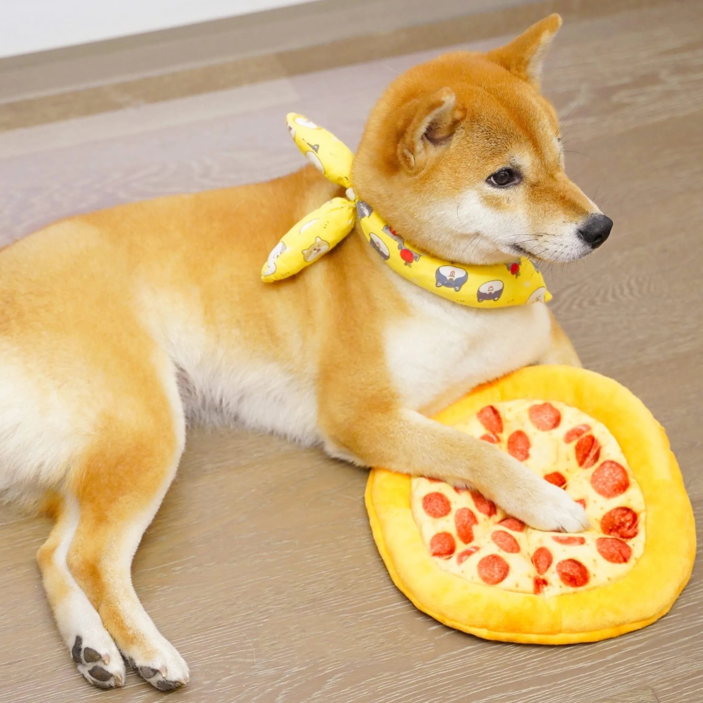 Yellow pizza-shaped squeaky dog toy for teeth grinding and chewing