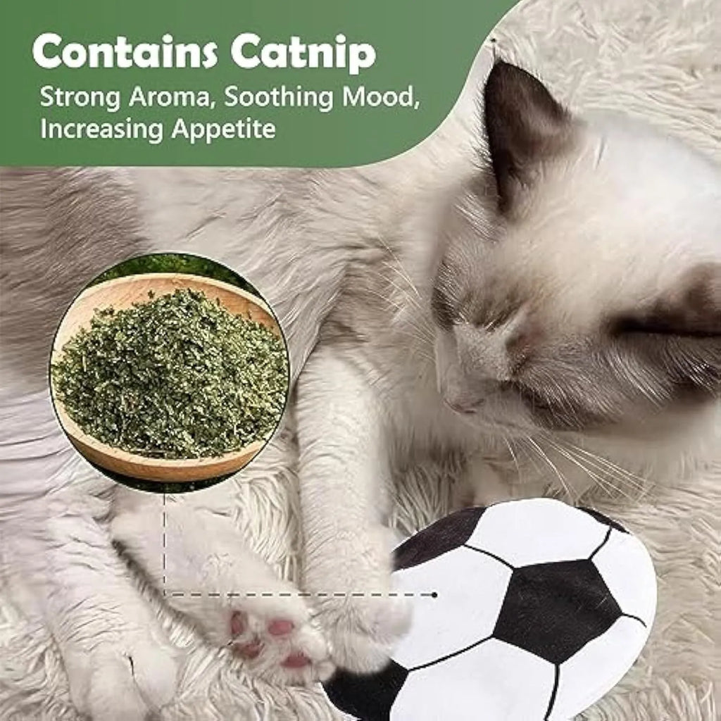 Plush disc cat toy with sports ball pattern containing catnip and crinkle layer