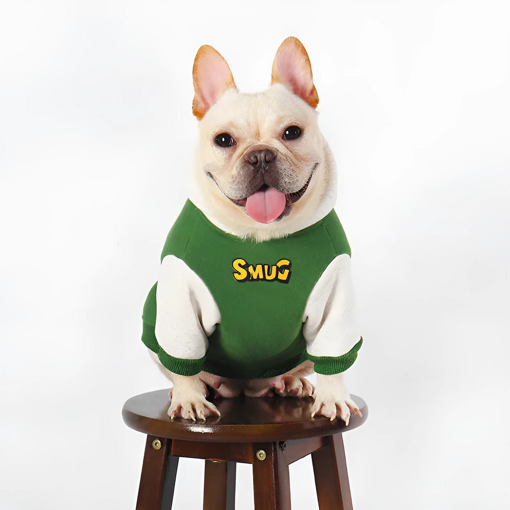 Green cotton dog coat for larger breeds in autumn and winter seasons
