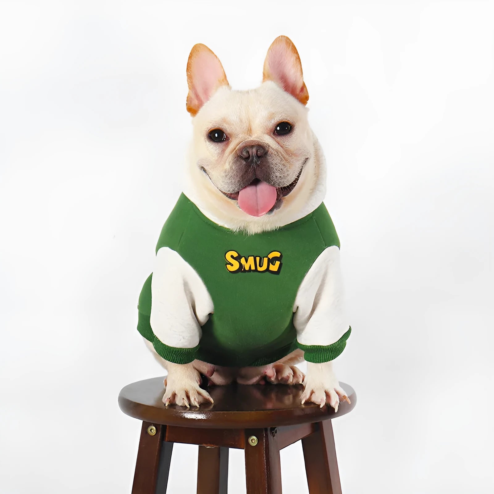 Green cotton dog coat for larger breeds in autumn and winter seasons