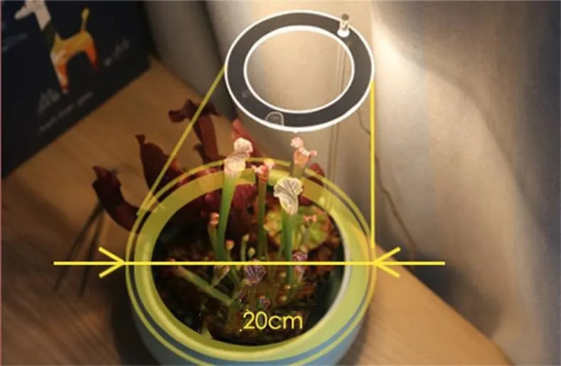 USB LED plant growth light with transparent housing and acrylic mounting stick