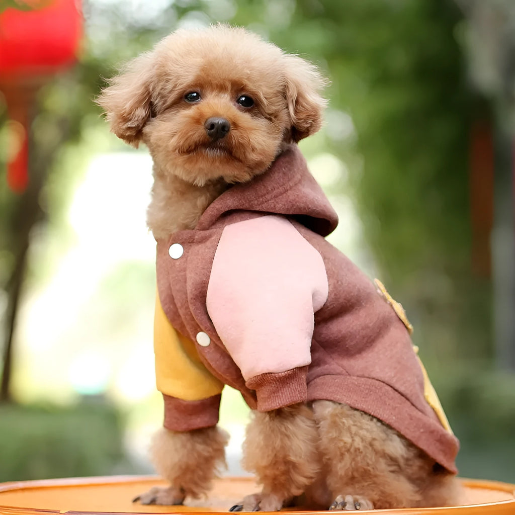 Brown cotton pet dog sweatshirt showing front design with size options from XS to 2XL