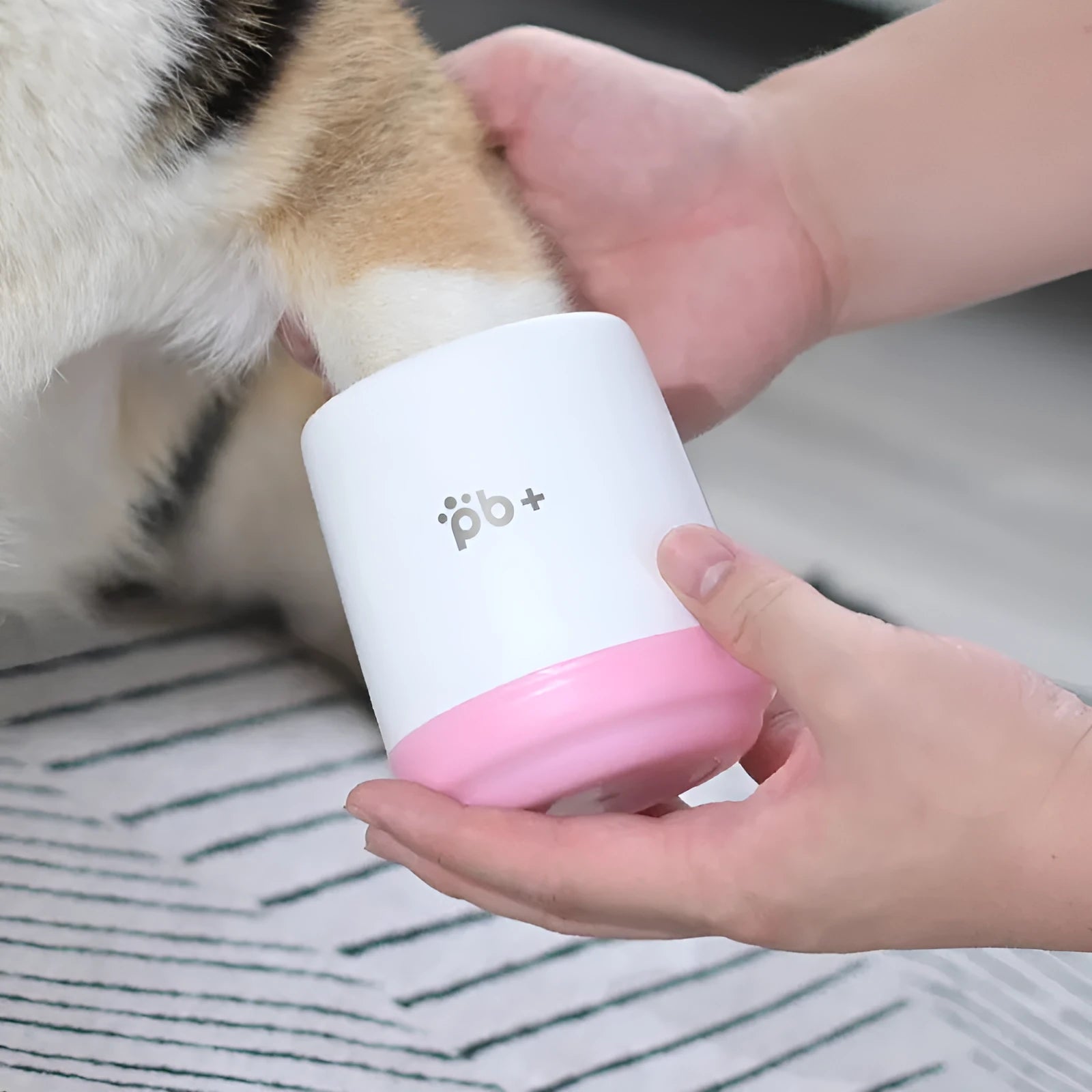 Cherry Pink foot cleansing cup pet footbath with soft silicone bristles and ABS construction by a door