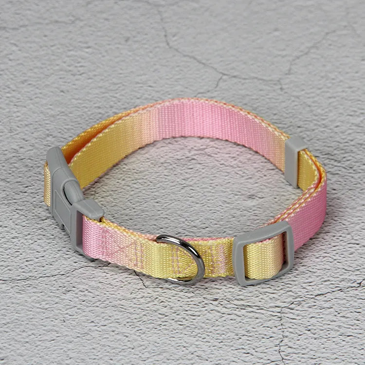 Gradient colour nylon dog leash in pink and yellow, shown as a collar-style lead.