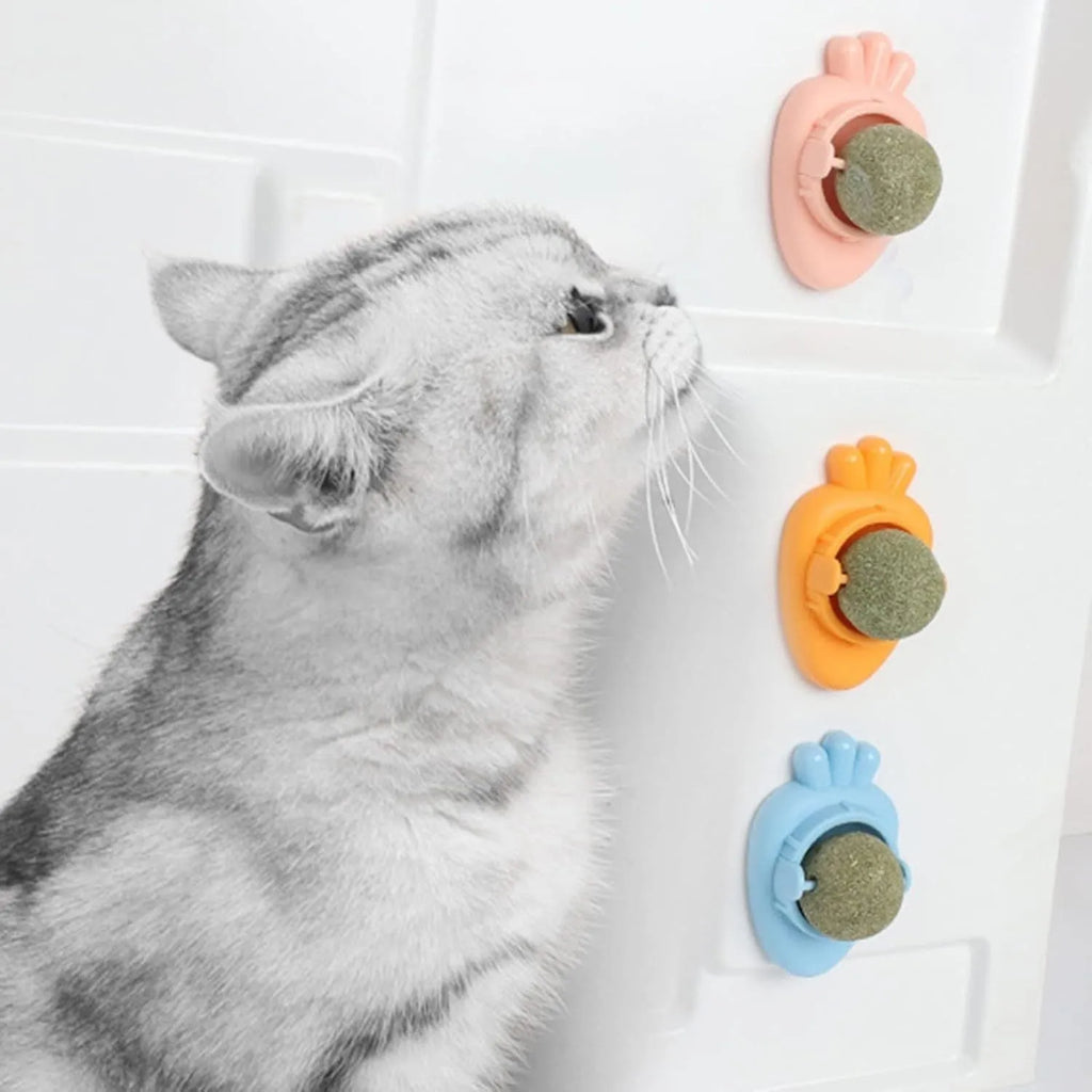 Blue carrot-shaped catnip ball with self-adhesive backing for wall-mounted dental cleaning