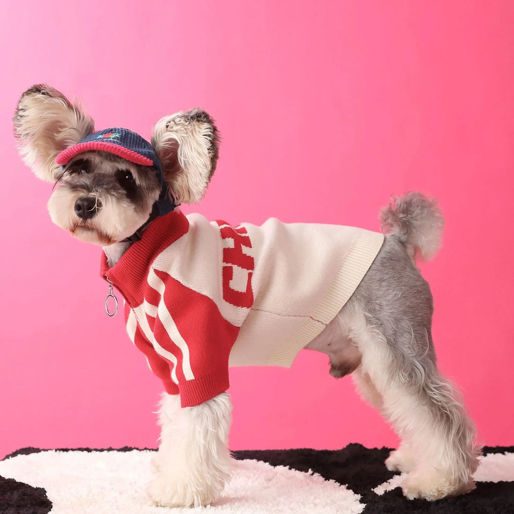 Dark green wool sports sweater cardigan for medium-sized dog on white background