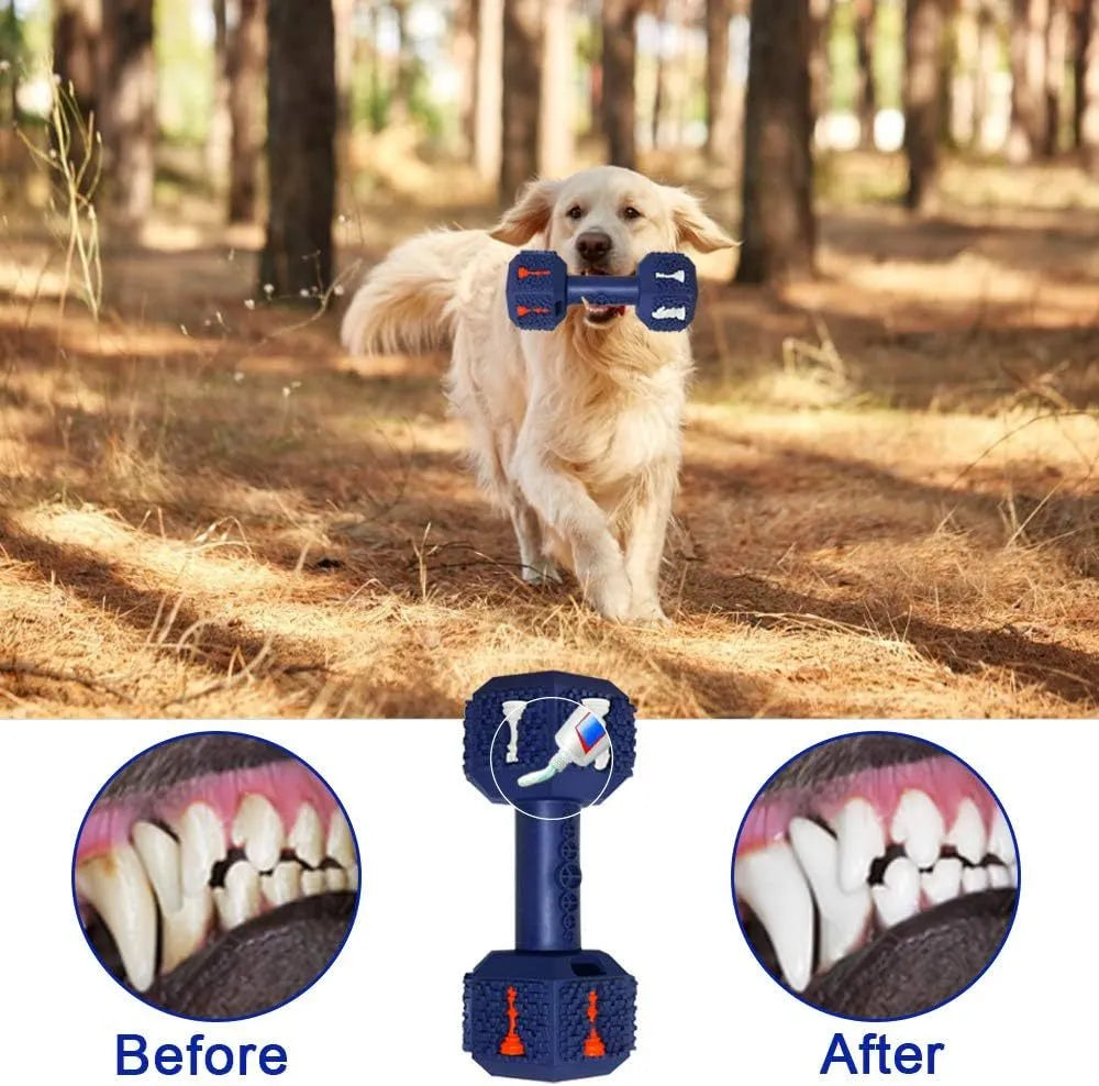 Natural rubber dog chew toy with hollow dumbbell design and textured surface for dental care