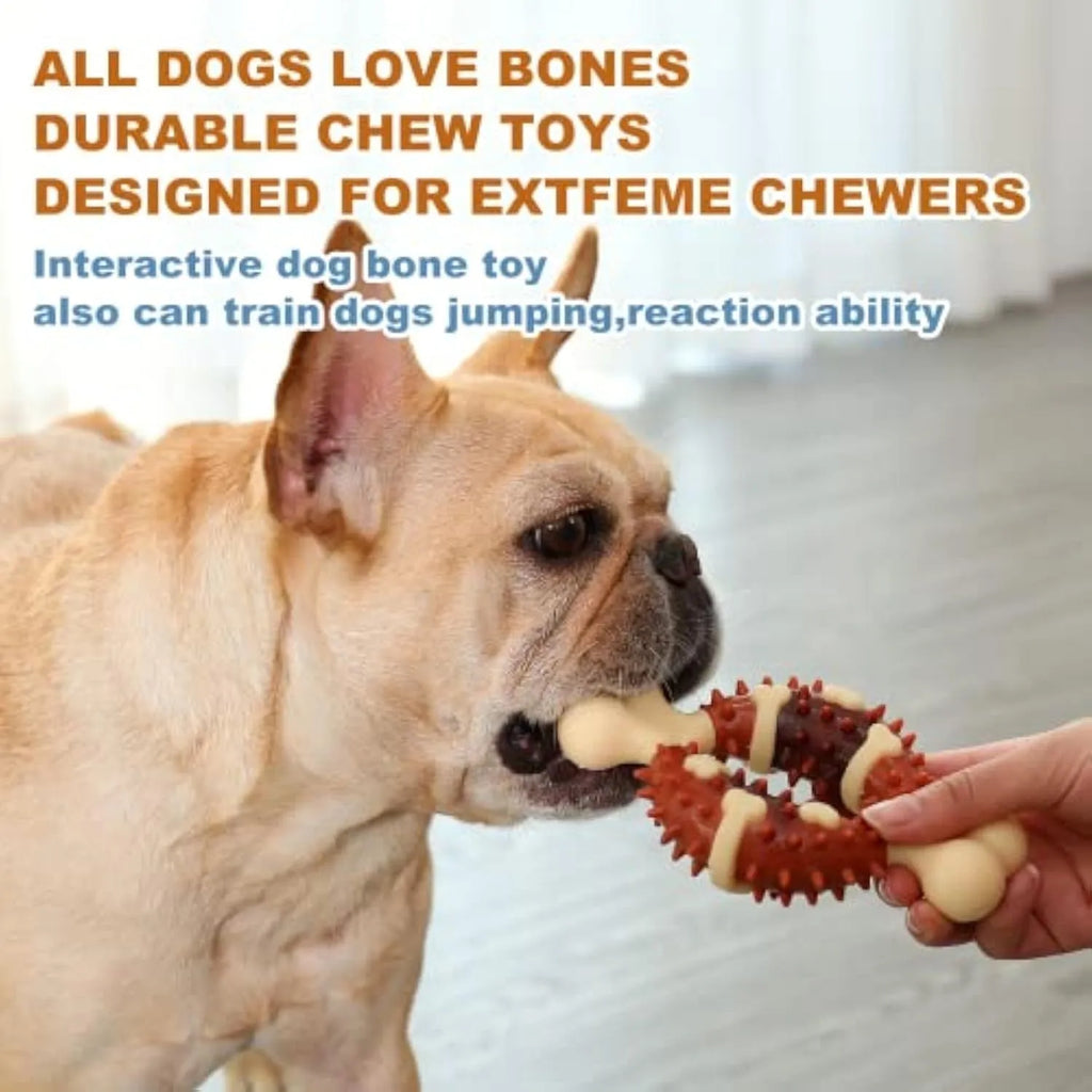 Natural rubber bone-shaped dog molar chew toy shown in two sizes for teeth grinding