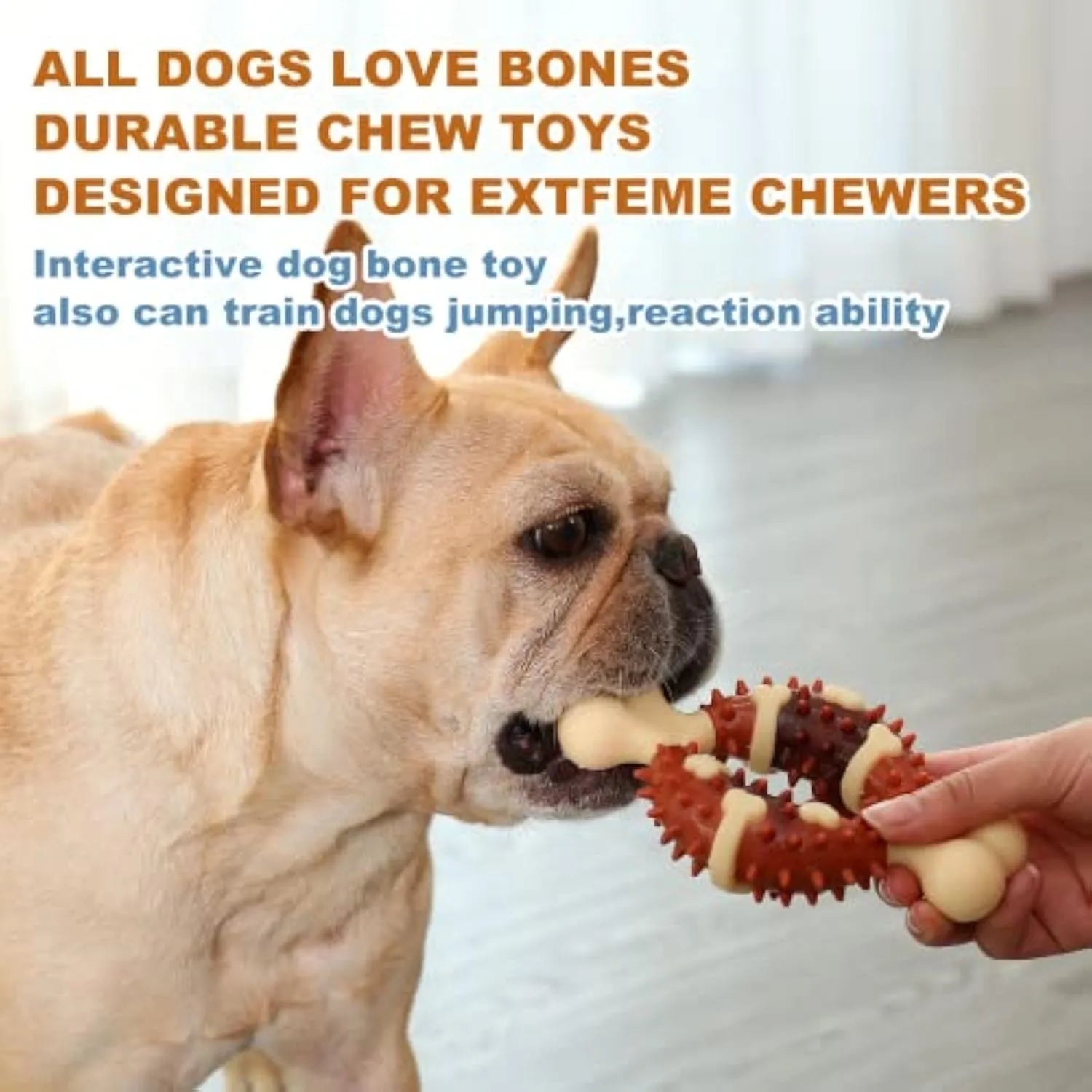 Natural rubber bone-shaped dog molar chew toy shown in two sizes for teeth grinding