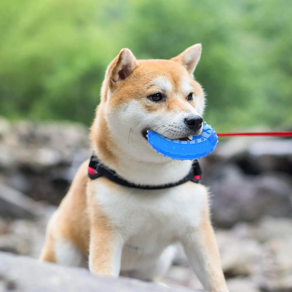 Freezable water-filled dog cooling chew toy in bones and circles designs with treat compartment.