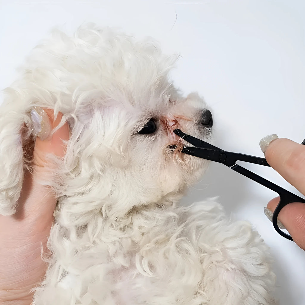 Black pet grooming brush with soft silicone bristles and a built-in comb for dogs and cats.