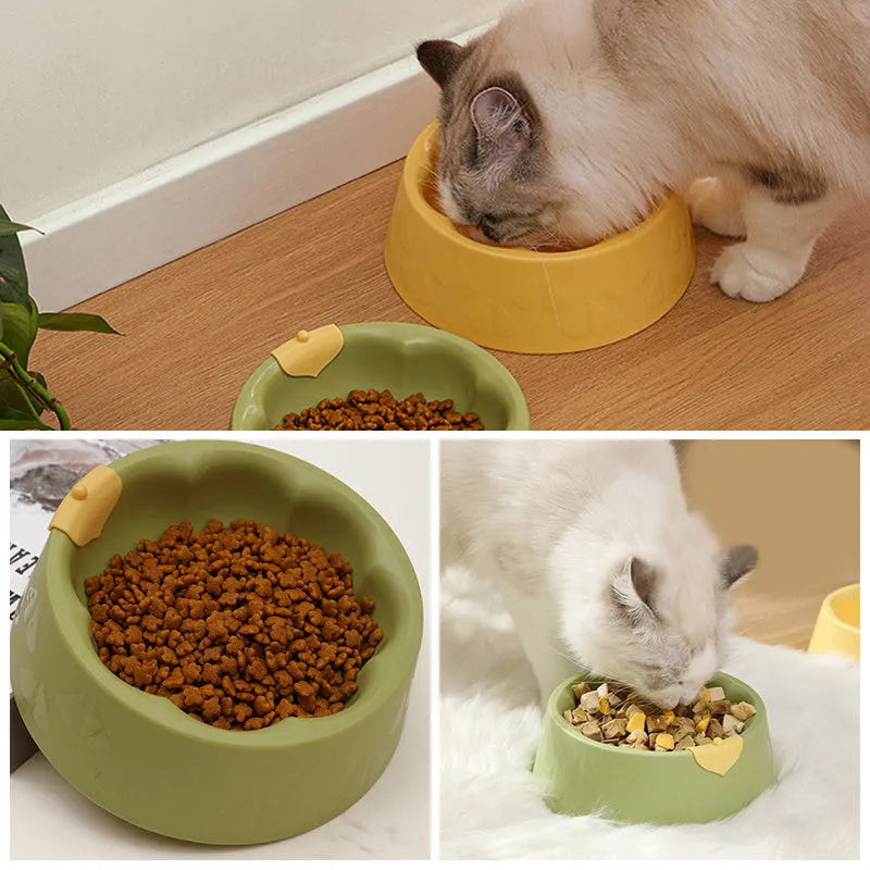 Plastic double pet bowl with flower design in blue colour showing food and water compartments
