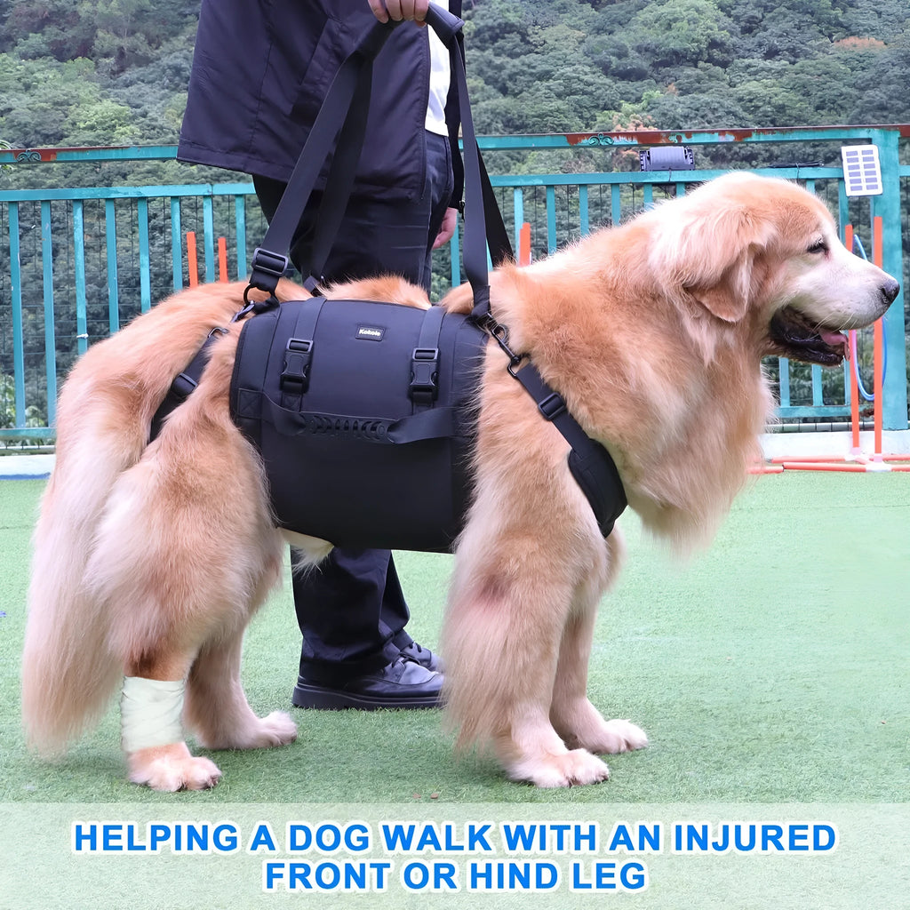 Black Oxford cloth dog rehabilitation support harness showing breast strap design for leg and chest support