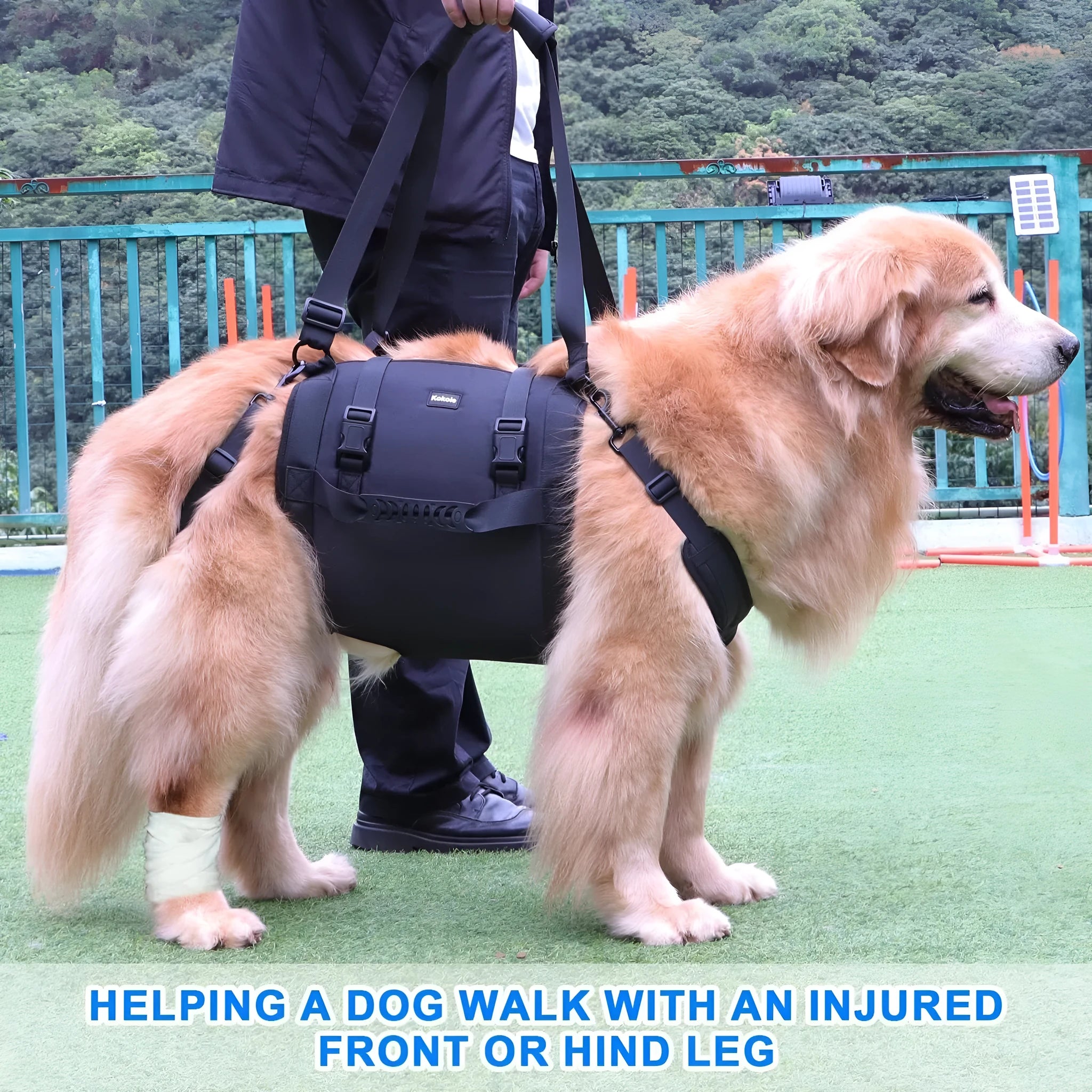 Black Oxford cloth dog rehabilitation support harness showing breast strap design for leg and chest support