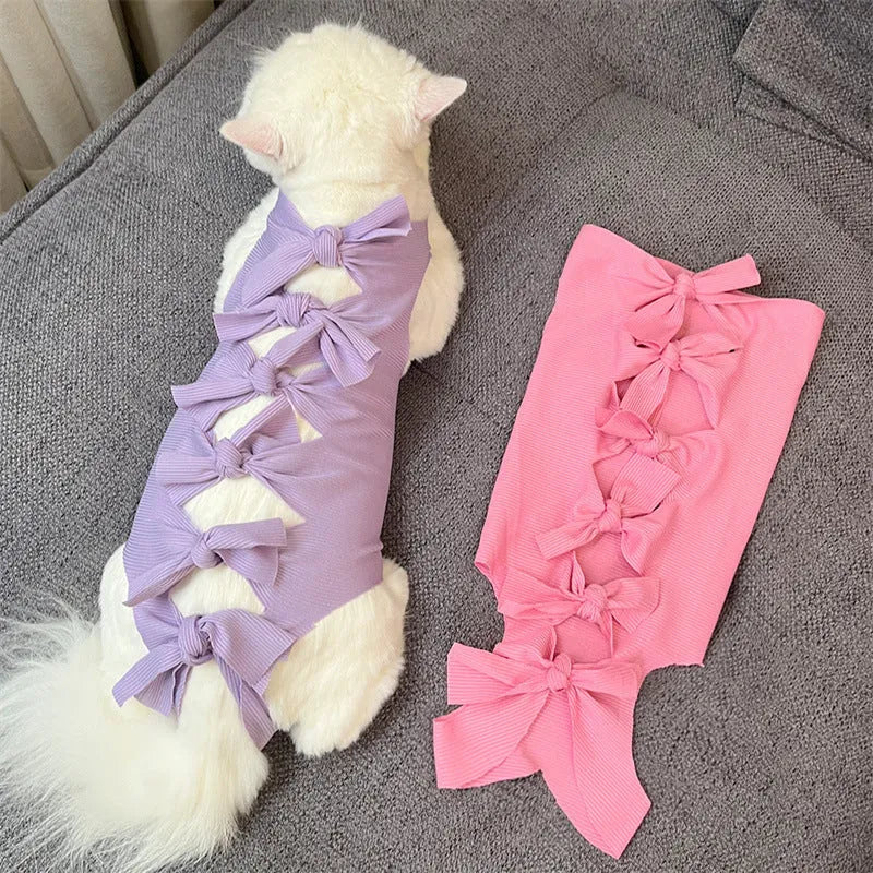 Cat wearing a pink lace-up polyester sterilisation suit after surgery, showing the adjustable tie closure.