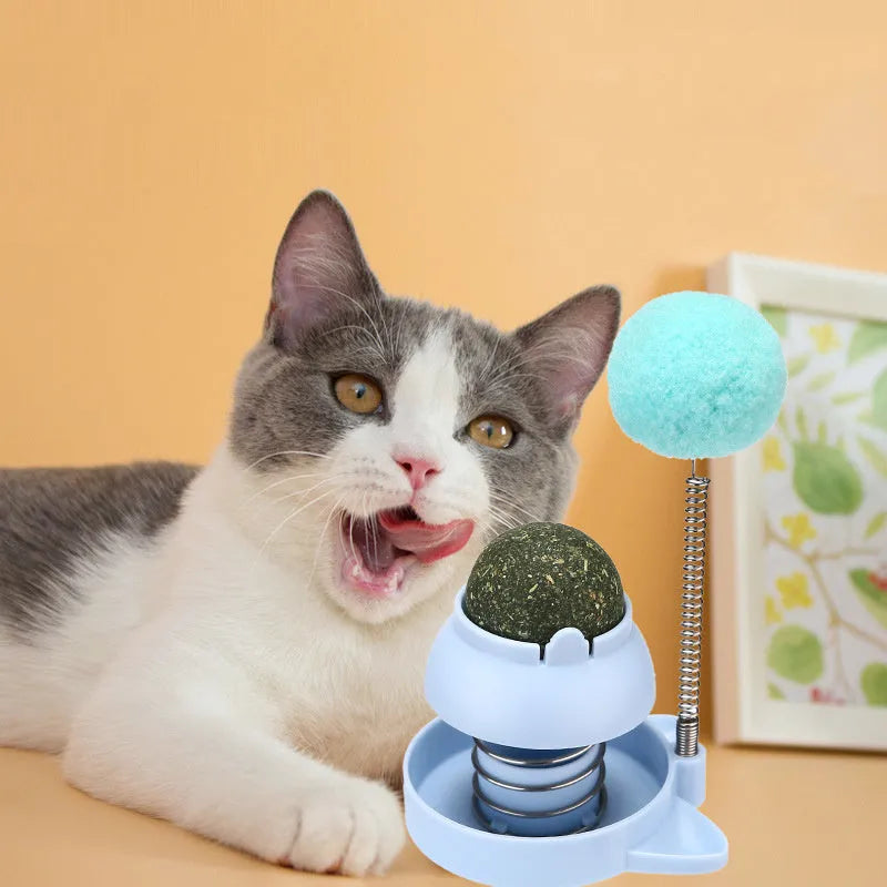 55mm cat toy with music mint ball for self-licking action and dental cleaning in blue, orange, or pink colours