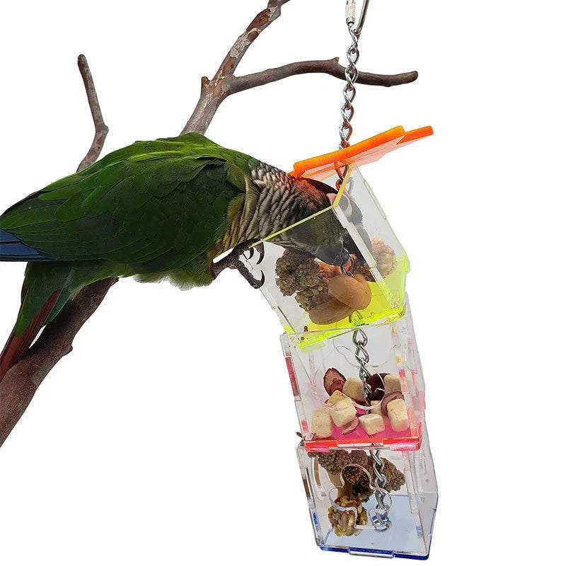 Clear acrylic bird foraging toy for parrots with hidden treat compartment