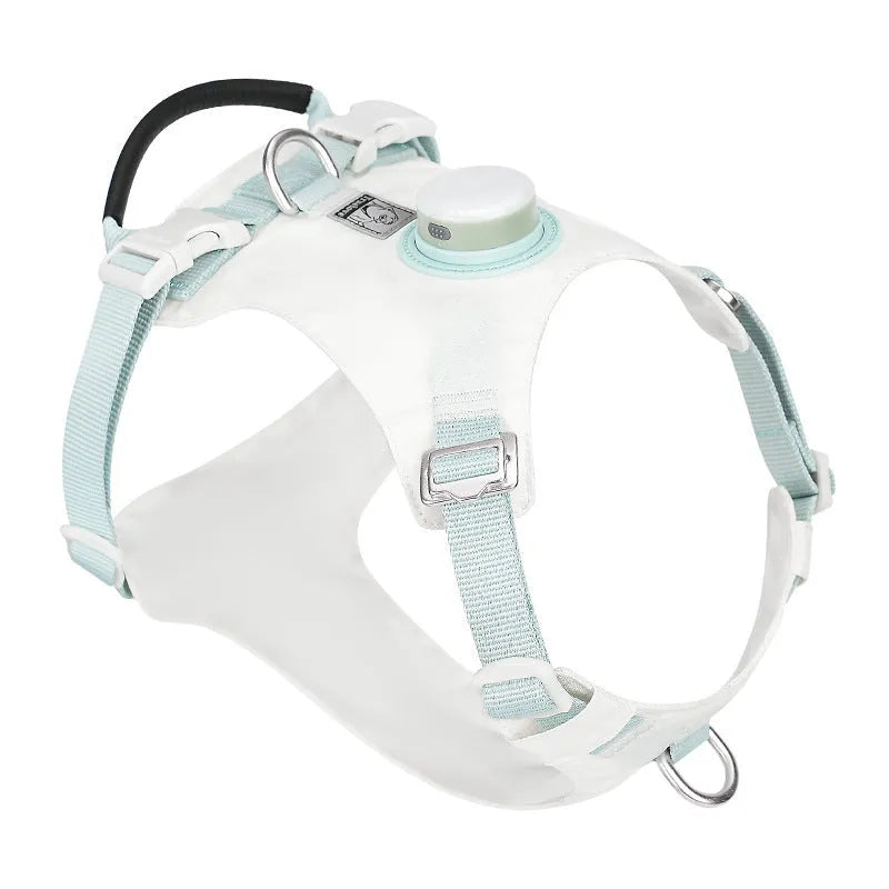 Nylon dog harness with integrated LED safety lights in multiple colour options