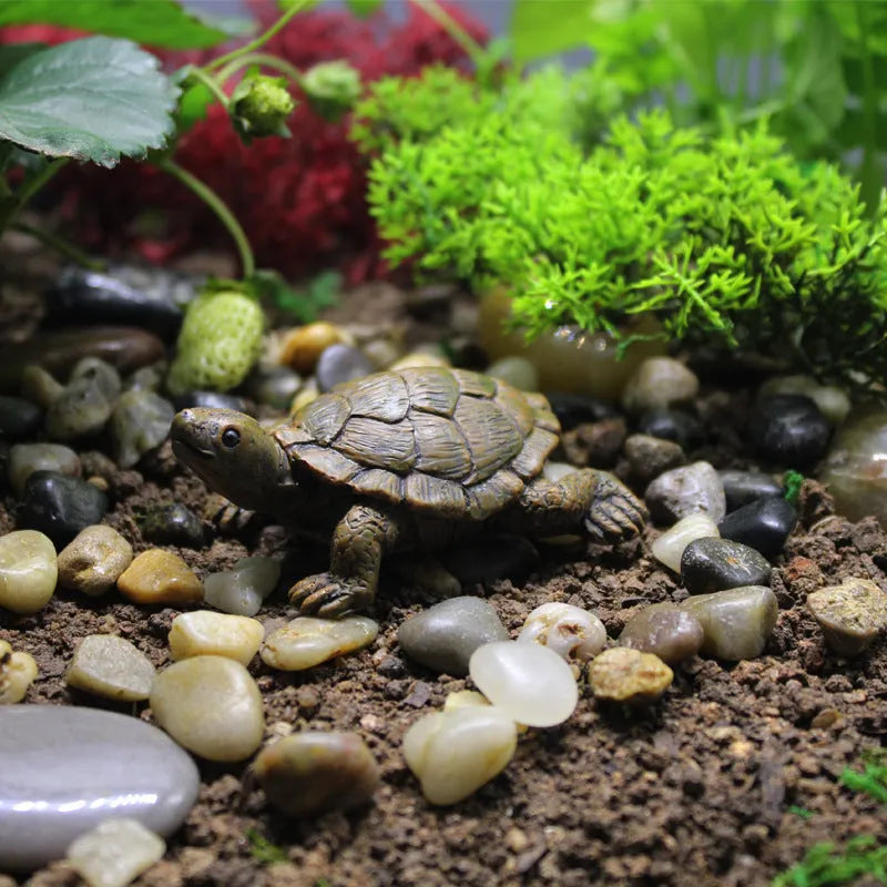 Realistic resin turtle decoration for miniature gardens and displays with natural colour variations