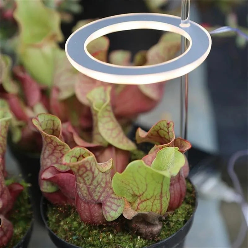 USB LED plant growth light with transparent housing and acrylic mounting stick