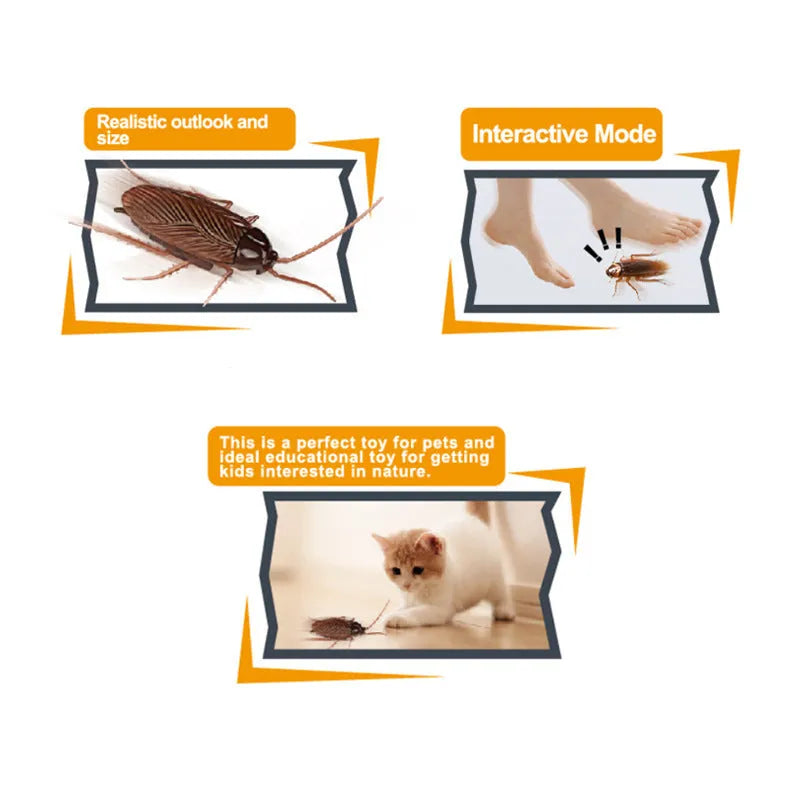 Electric vibration pet toy showing insect simulation design with walking trick mechanism