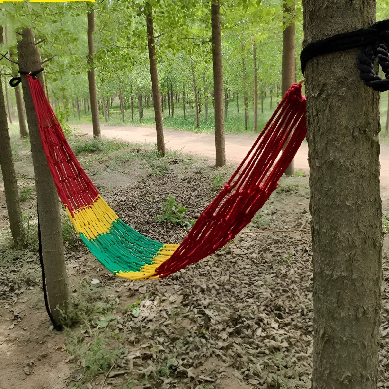 Nylon rope mesh hammock hung between two trees with tying rope visible