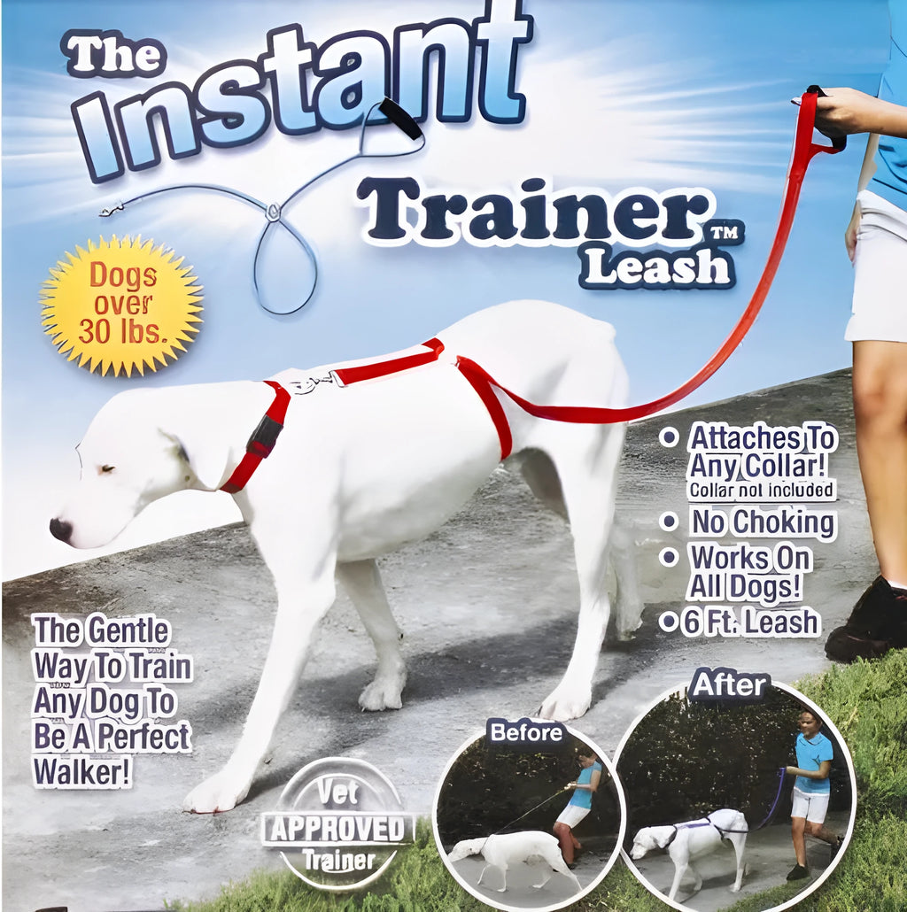 Blue Instant Trainer Dog Leash 6 ft for dogs over 30 lbs stop pulling training tool