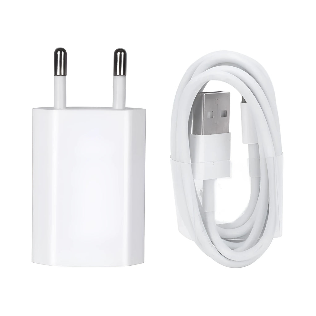 White 5V 2A USB wall charger and cable compatible with iPhone 5 6 X and iPad Air Mini