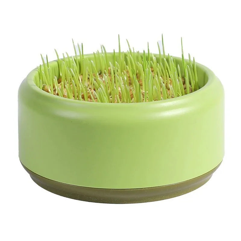 Blue hydroponic cat grass kit with plastic cup and seed packs for soilless indoor growing