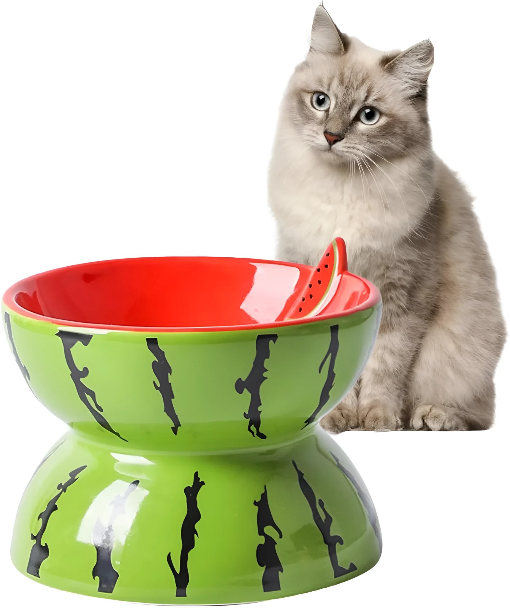 Ceramic elevated cat bowl with tilted surface in a colourful fruit pattern, showing its height and wide design.