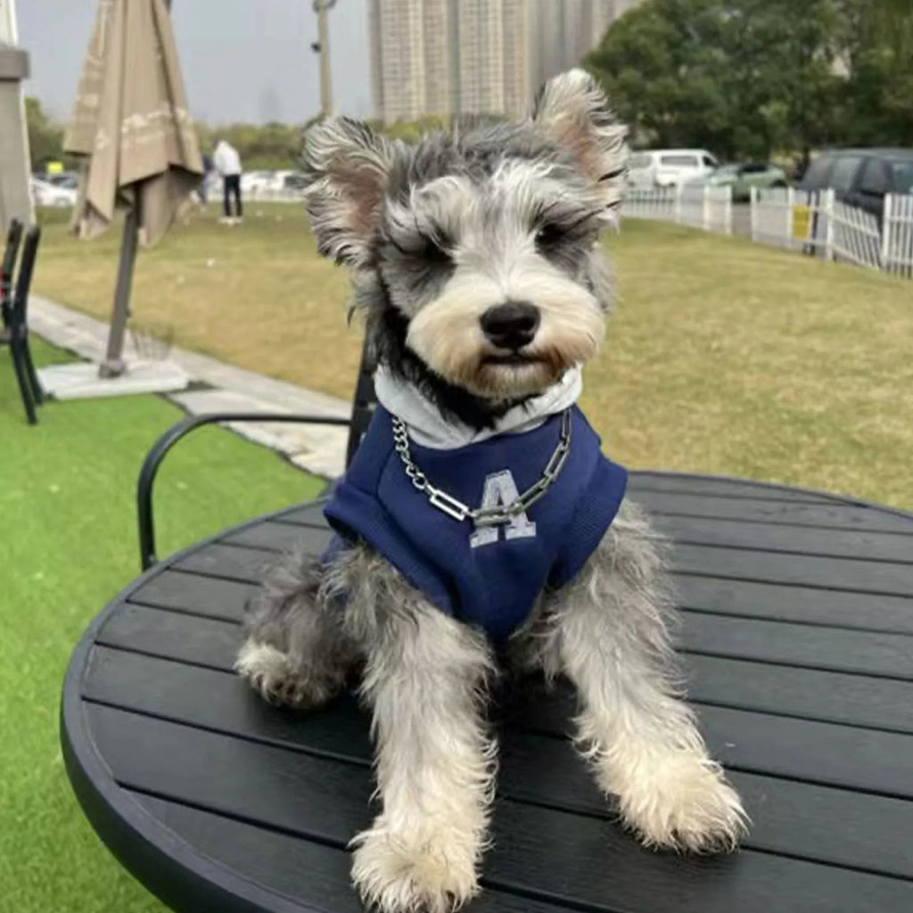 Blue and grey-white reflective letter pet hoodie for cats and dogs on mannequin