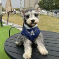 Blue and grey-white reflective letter pet hoodie for cats and dogs on mannequin