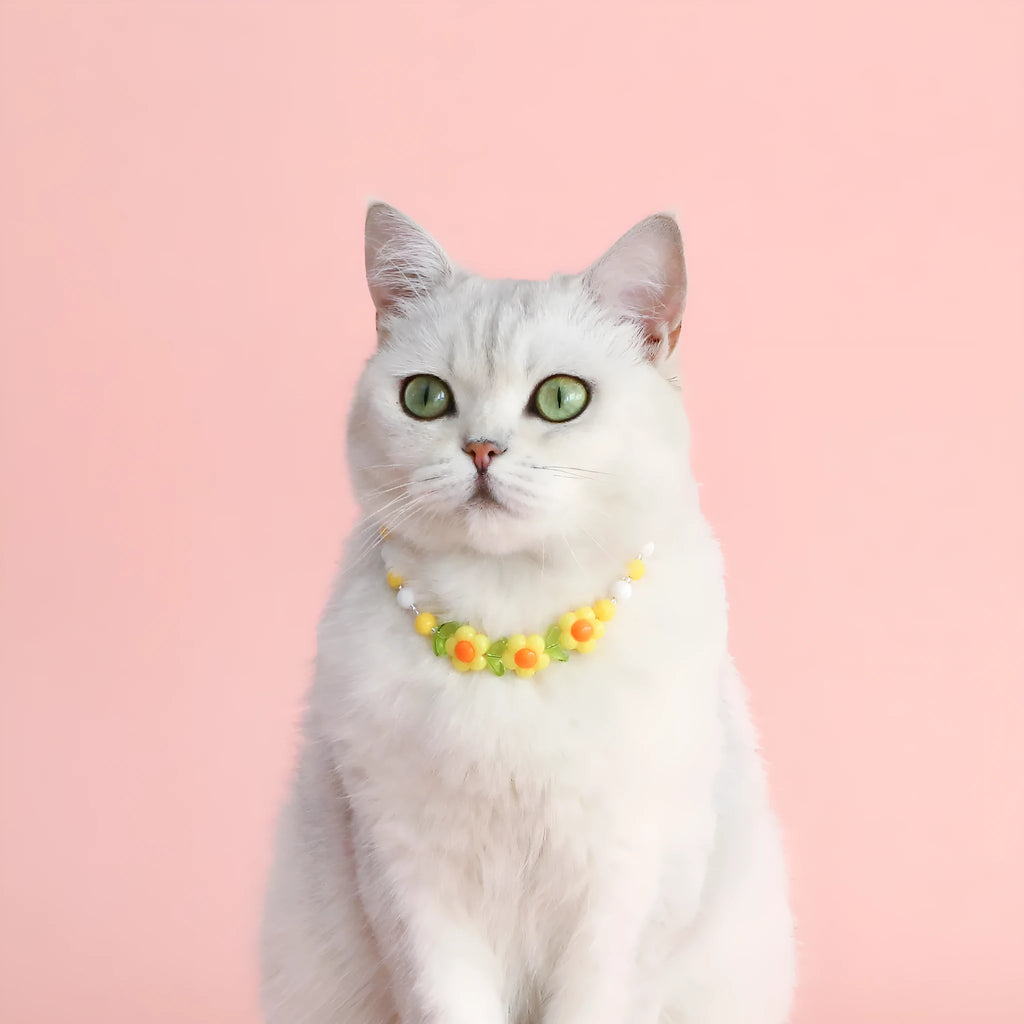 Colourful plastic pearl bead pet necklace for dogs and cats with adjustable sizing options