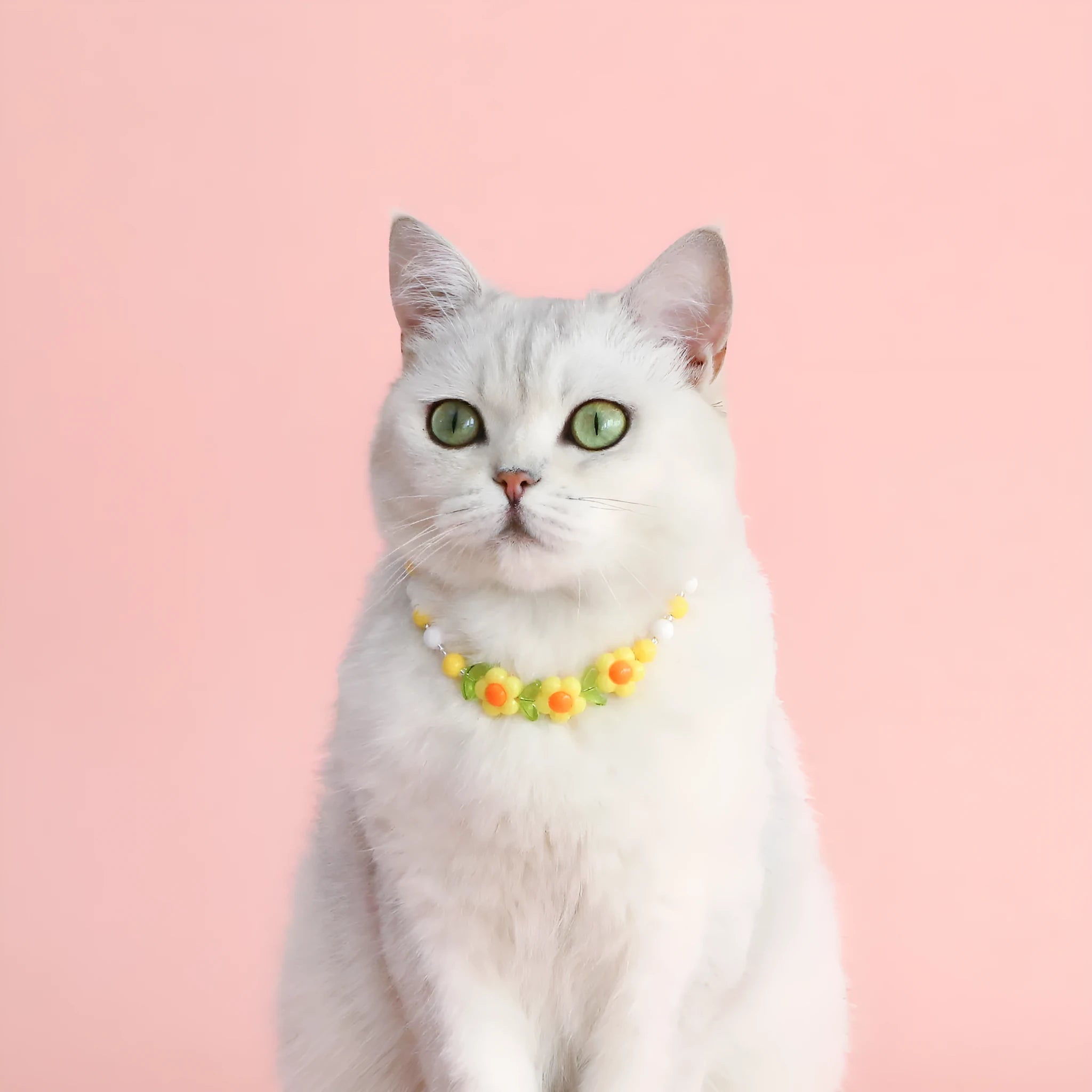 Colourful plastic pearl bead pet necklace for dogs and cats with adjustable sizing options