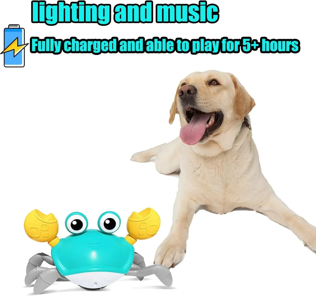 Blue interactive crawling crab dog toy with obstacle avoidance sensors