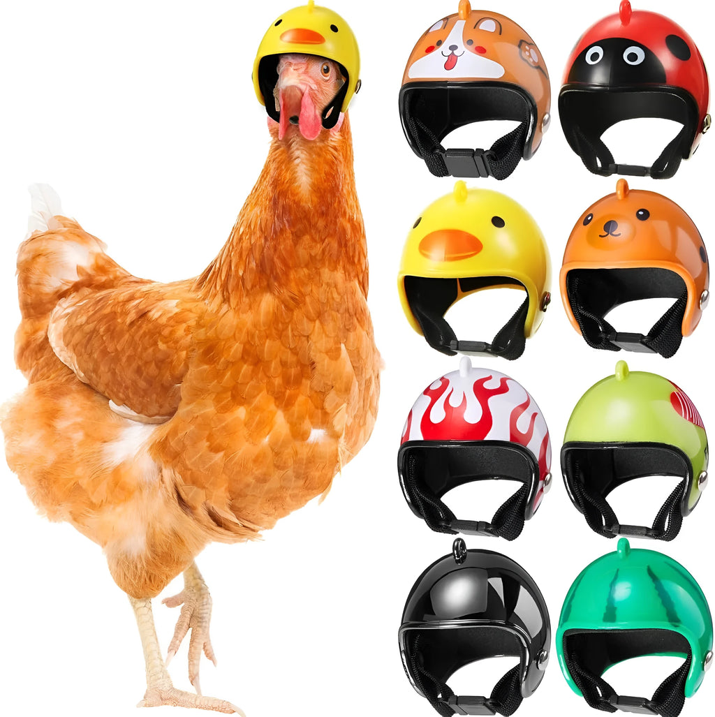 Small hard plastic pet helmet with elastic adjustment straps and sponge lining for chickens and birds
