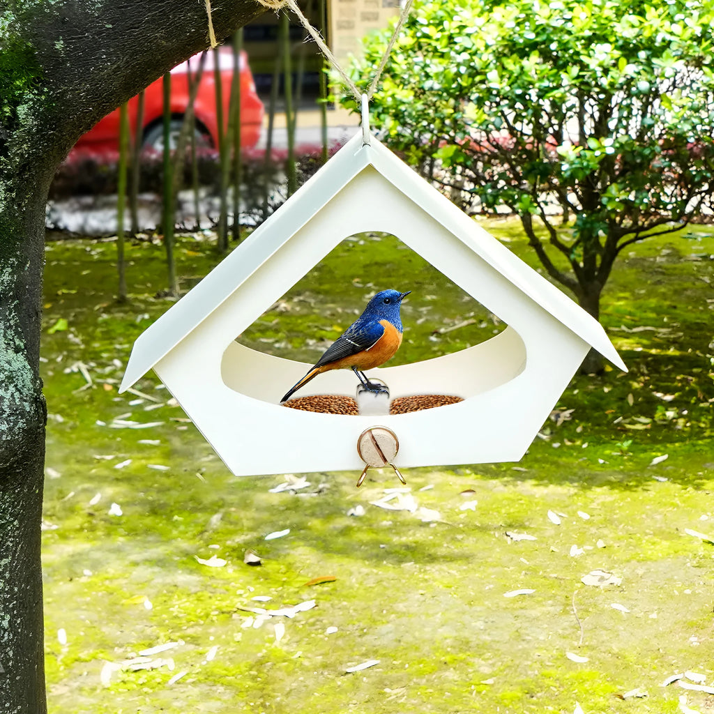 European-style simple iron bird nest with anti-rain function for outdoor courtyard bird feeding