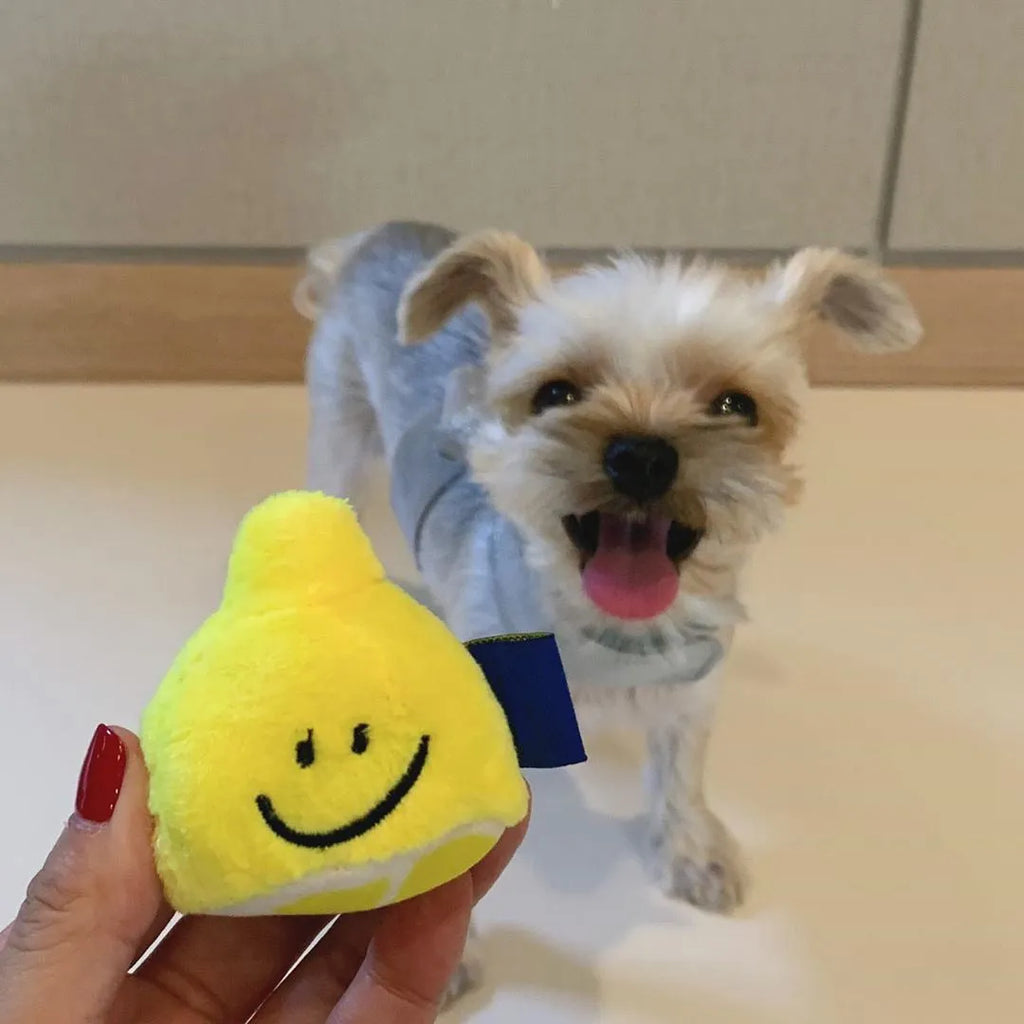 Yellow plush lemon tea cup pet toy with snack pocket, BB call squeaker, and separate cup component.